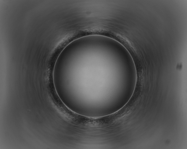X0000091700735200708241222