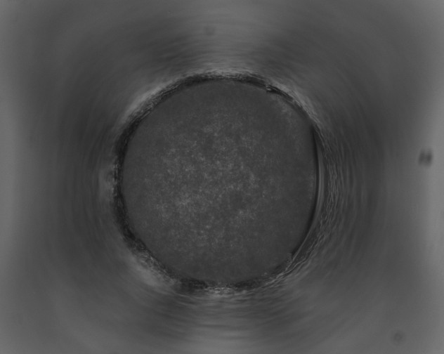X0000091700736200708241222