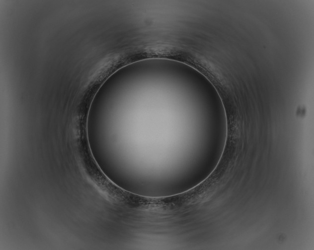 X0000091700738200708241223