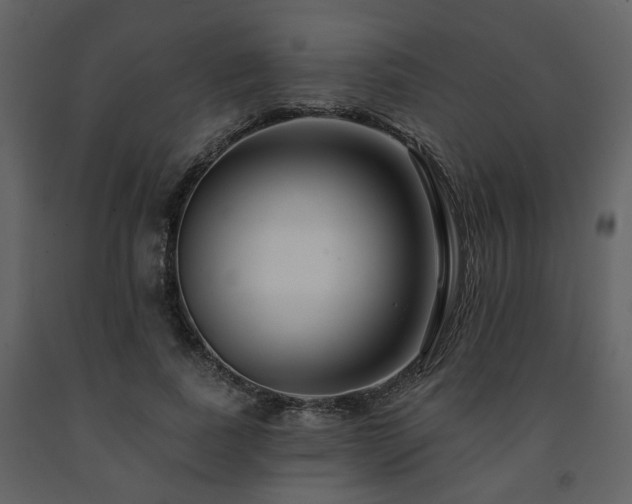 X0000091700739200708241223