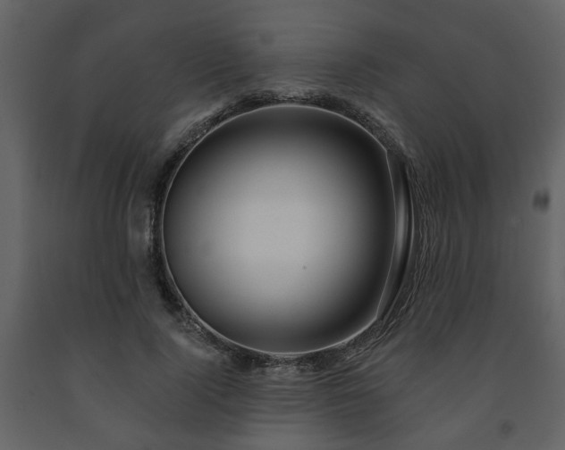 X0000091700740200708241223
