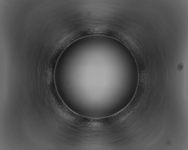 X0000091700741200708241223