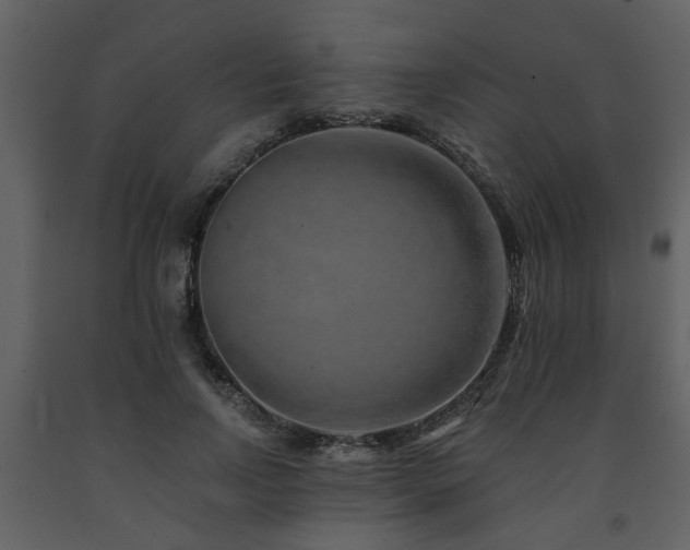 X0000091700742200708241223