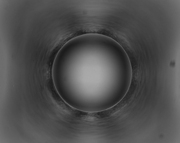 X0000091700743200708241223