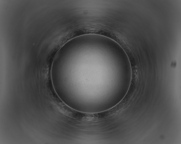 X0000091700745200708241223