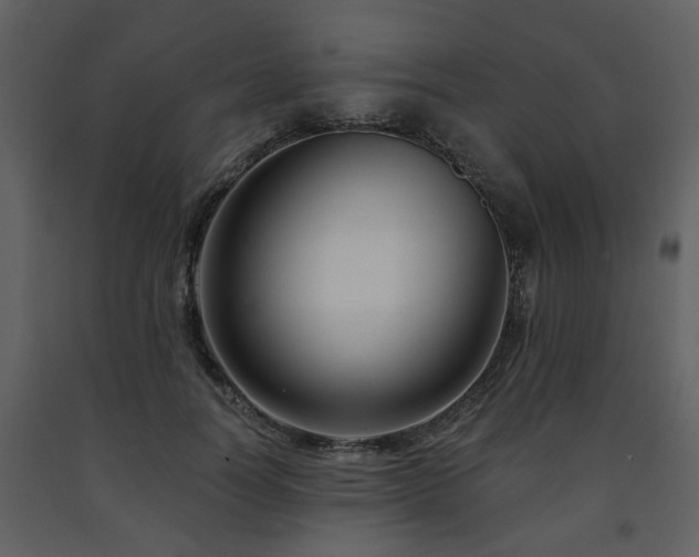 X0000091700746200708241223