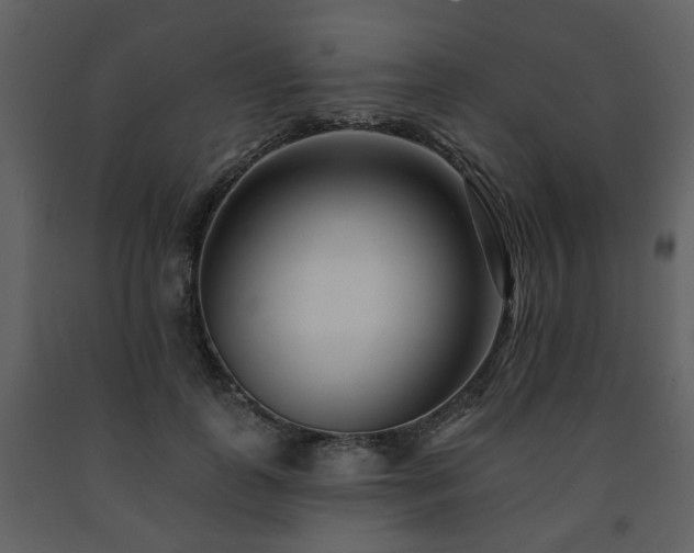 X0000091700747200708241223