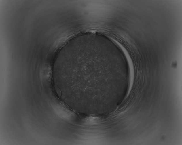 X0000091700748200708241223