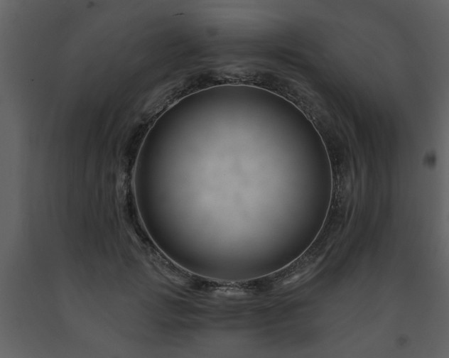 X0000091700749200708241223