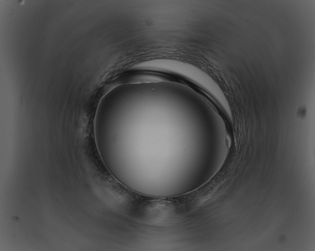 X0000091700750200708241223