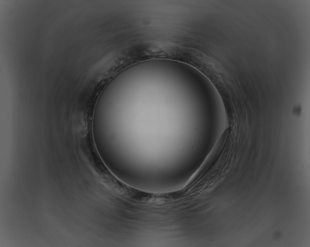 X0000091700751200708241223