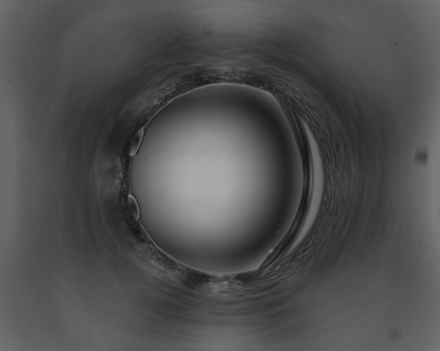 X0000091700752200708241223