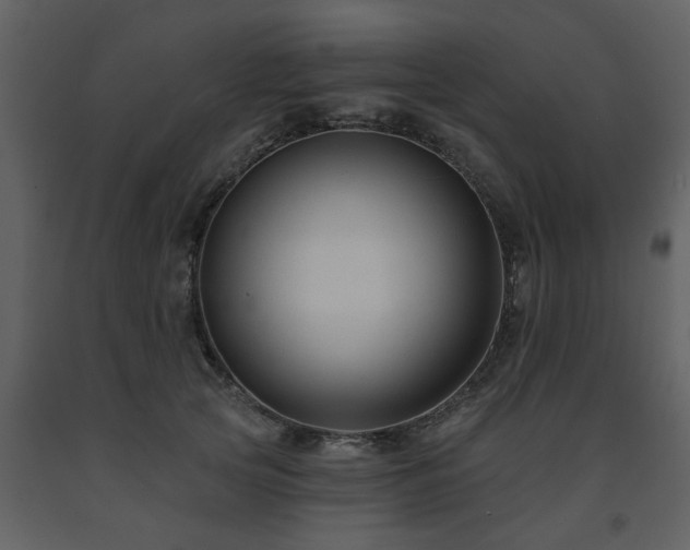 X0000091700753200708241223