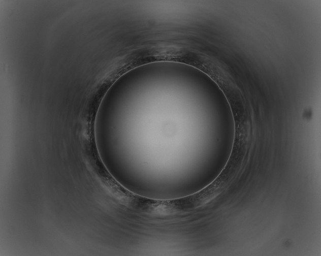 X0000091700755200708241223
