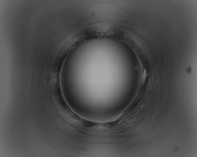 X0000091700756200708241223
