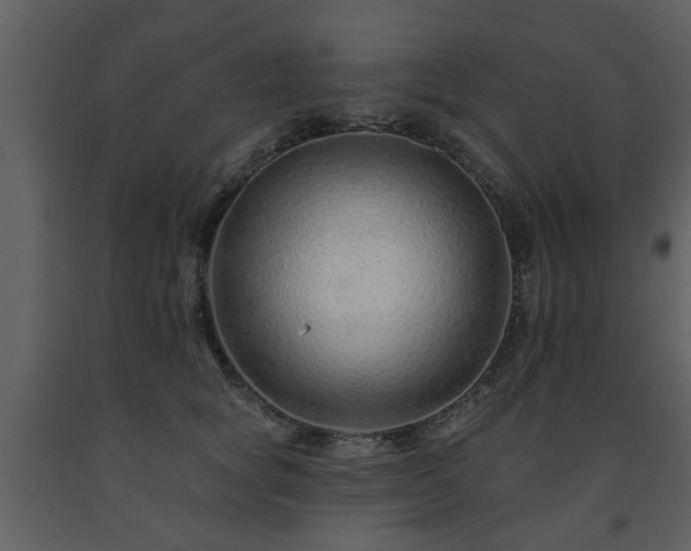 X0000091700757200708241223