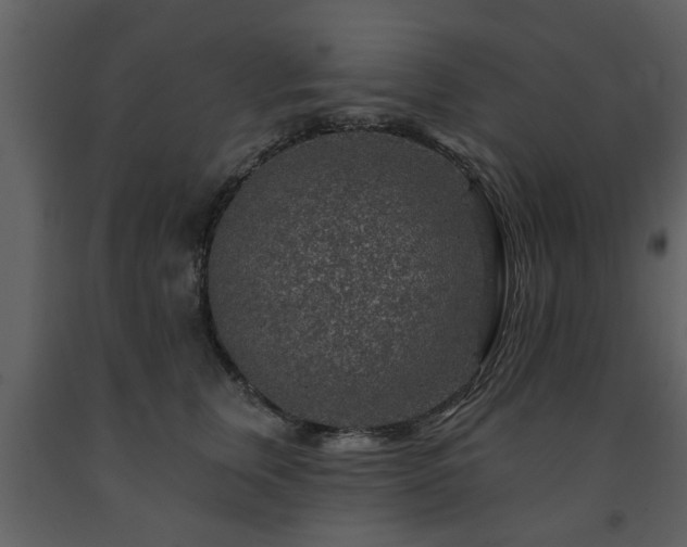 X0000091700759200708241223