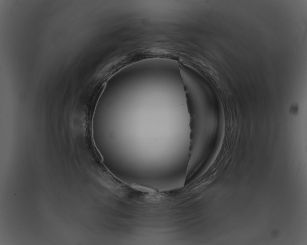 X0000091700762200708241223