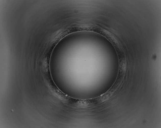 X0000091700764200708241223