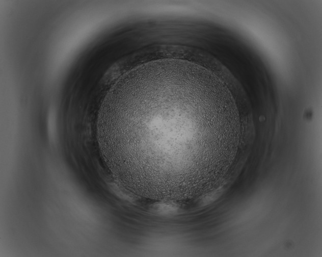X0000091700765200708241223