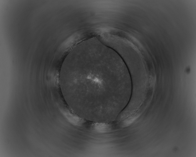 X0000091700766200708241223
