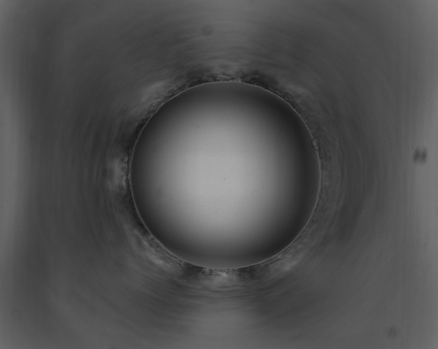 X0000091700768200708241223