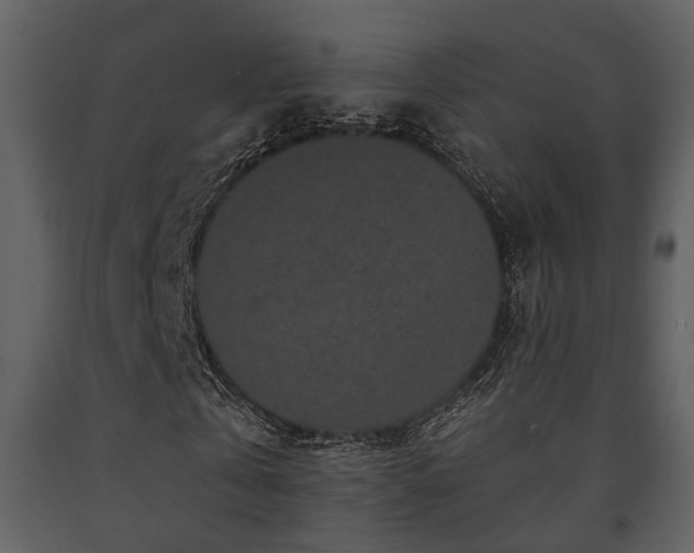 X0000091700769200708241222