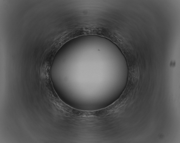 X0000091700770200708241222