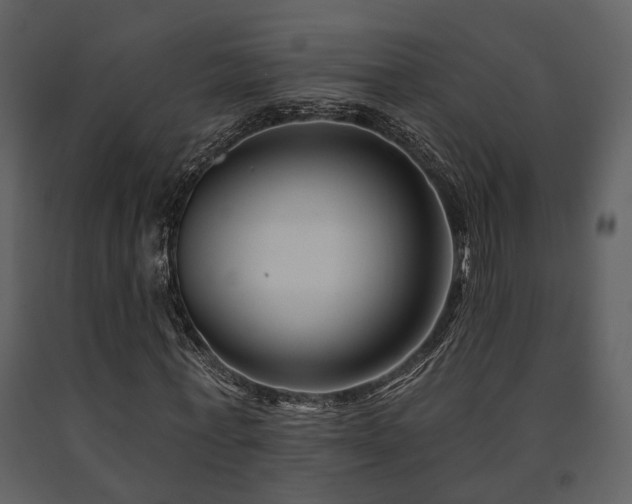 X0000091700771200708241222