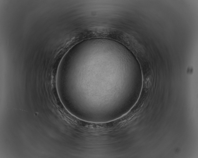 X0000091700772200708241222