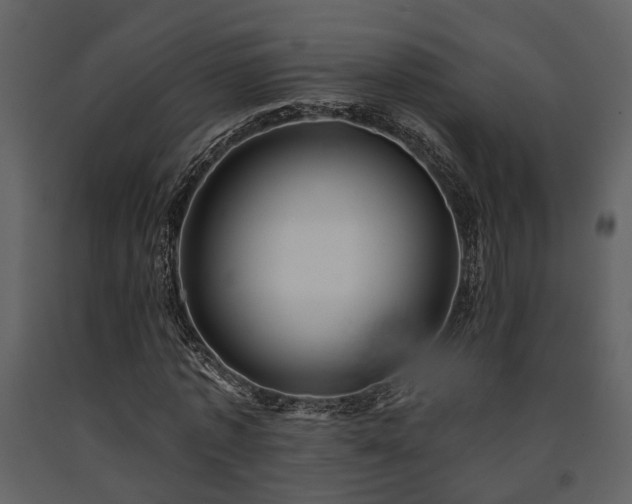 X0000091700773200708241222