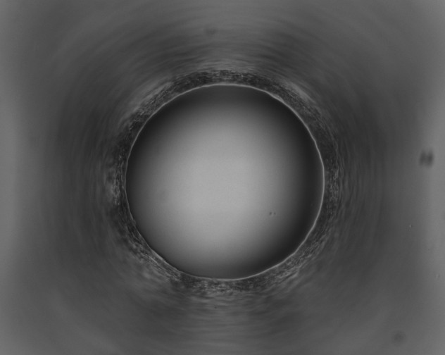 X0000091700774200708241222
