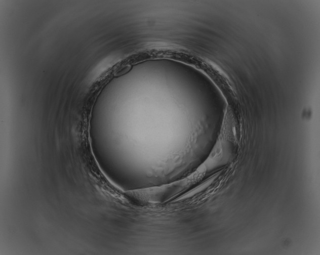X0000091700775200708241222