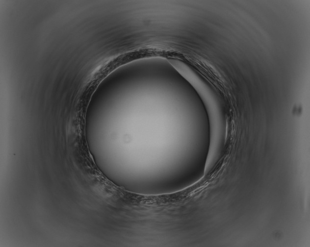 X0000091700776200708241222