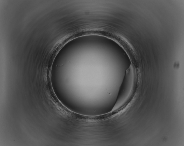 X0000091700777200708241222