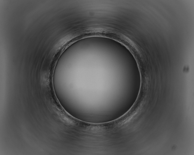 X0000091700778200708241222