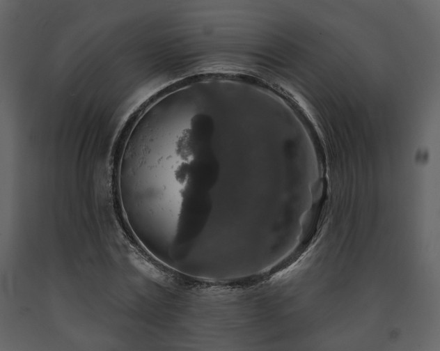 X0000091700779200708241222