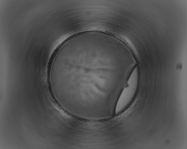 X0000091700780200708241222