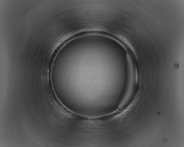 X0000091700781200708241222