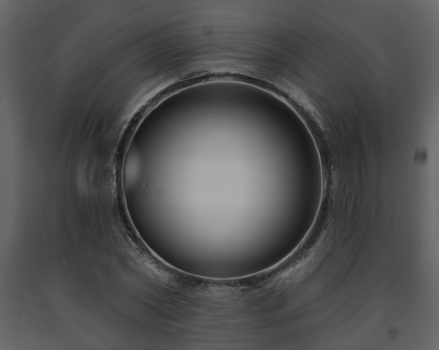 X0000091700782200708241222