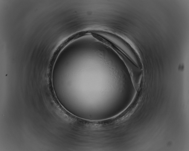 X0000091700783200708241222