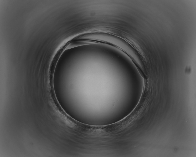 X0000091700784200708241222