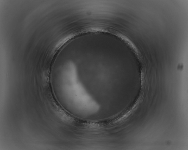 X0000091700785200708241222