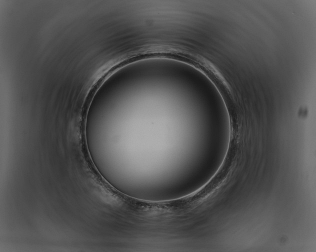 X0000091700786200708241222