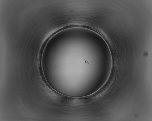 X0000091700787200708241222