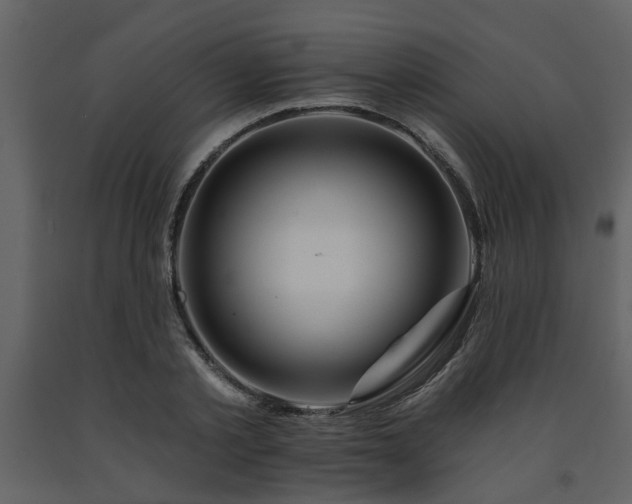 X0000091700789200708241222
