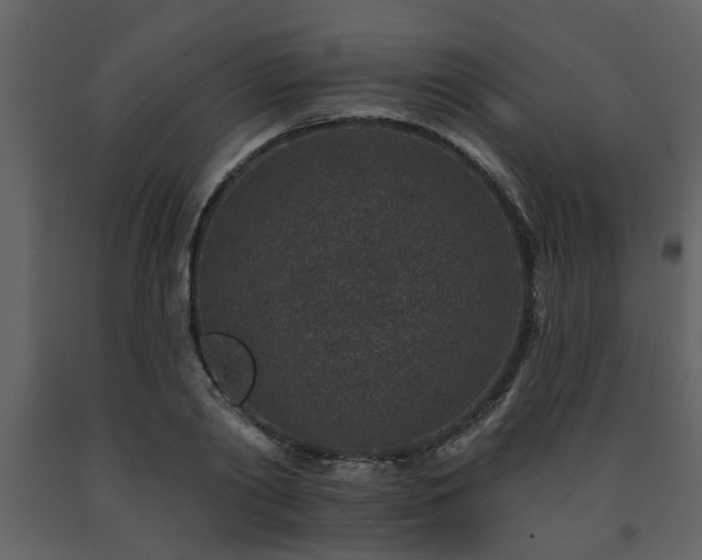 X0000091700790200708241222