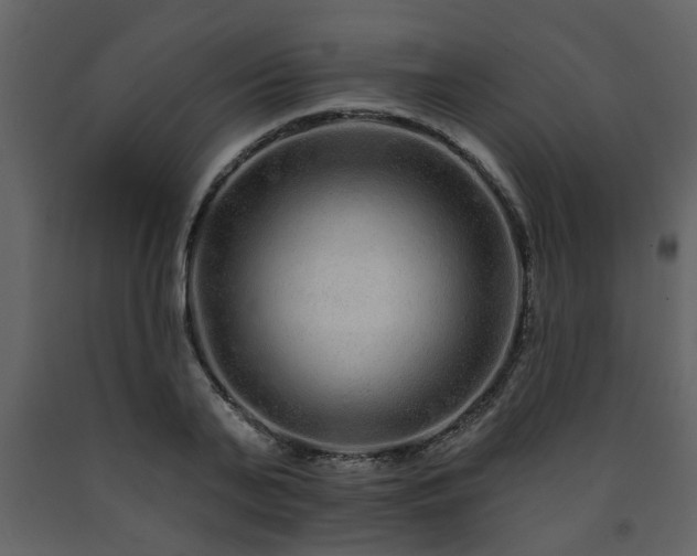 X0000091700791200708241222