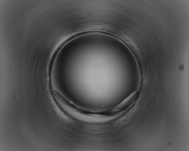 X0000091700792200708241222