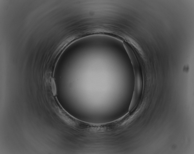 X0000091700793200708241222